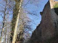 SORTIE CHATEAU FALKENSTEIN ROCHER DU FALKENBERG 08 02 2019 09